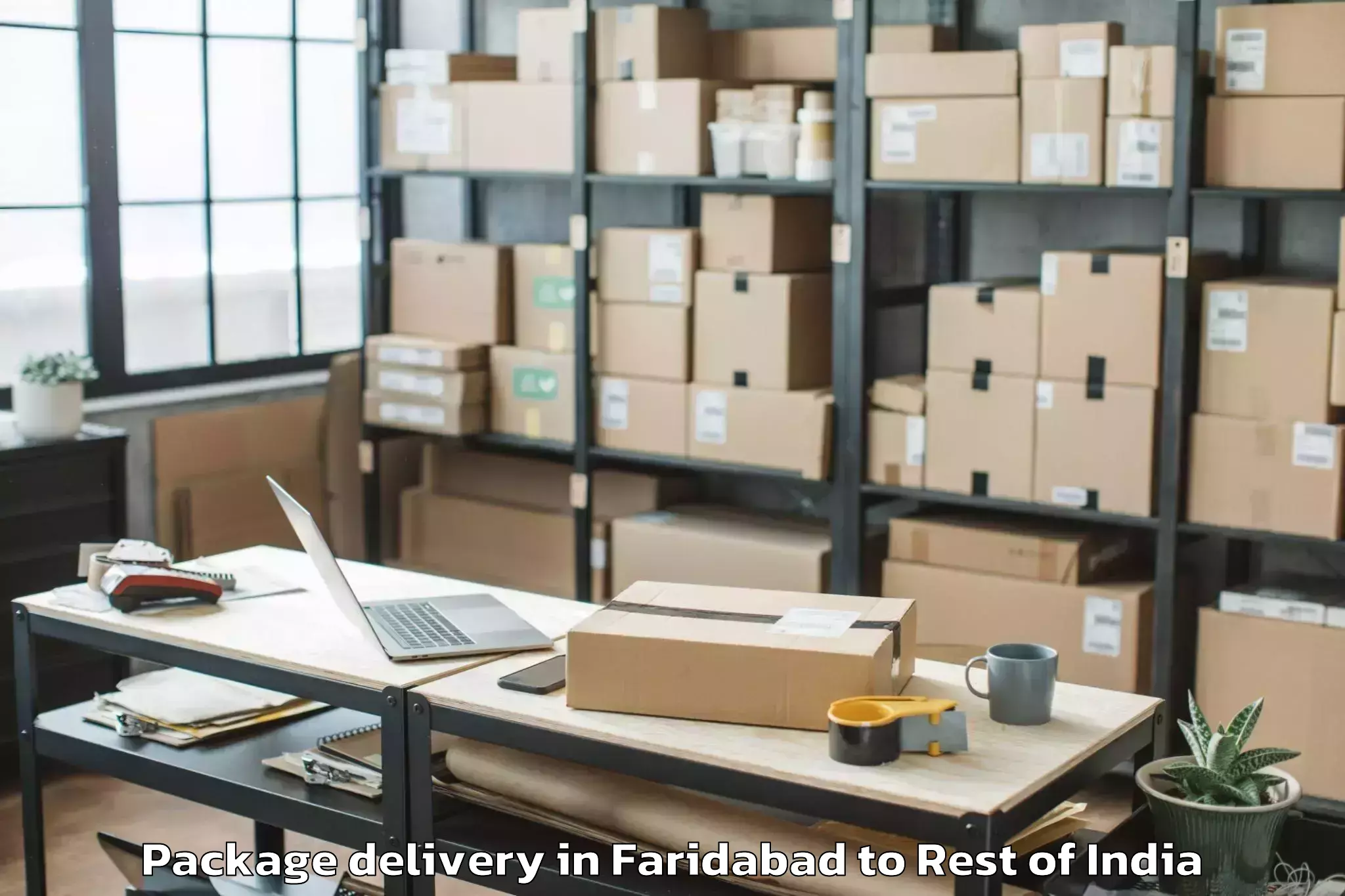 Book Faridabad to Tral Package Delivery